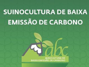 Suinocultura do Paraná debaterá Baixa Emissão de Carbono